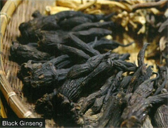 Black ginseng is superior to Red ginseng