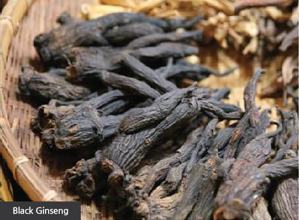 ginseng_img_02 aimee_ginseng_effect
